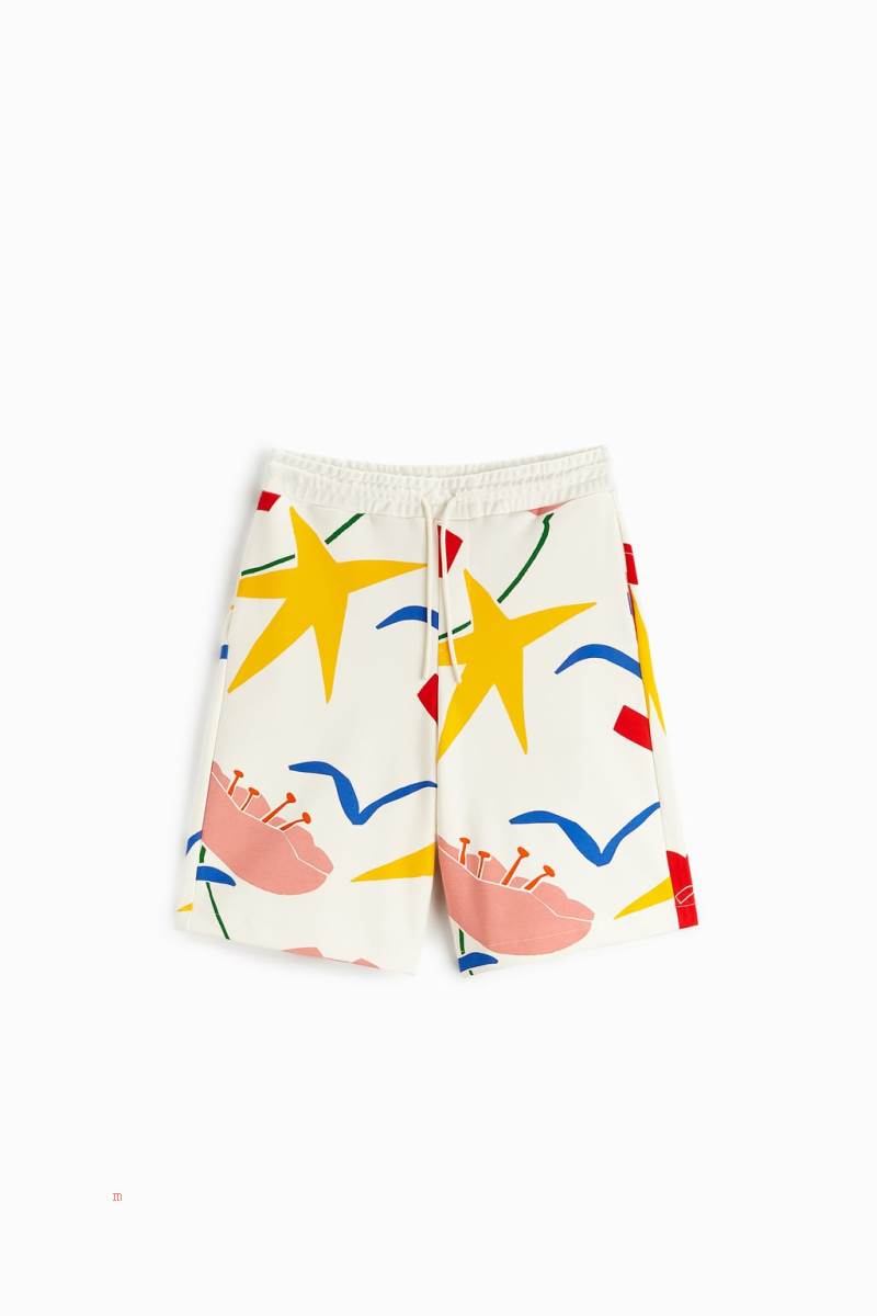 ZARA SEBASTIAN CURI GRAPHIC BERMUDA Shorts Herr Vita | ZQHWG-4035