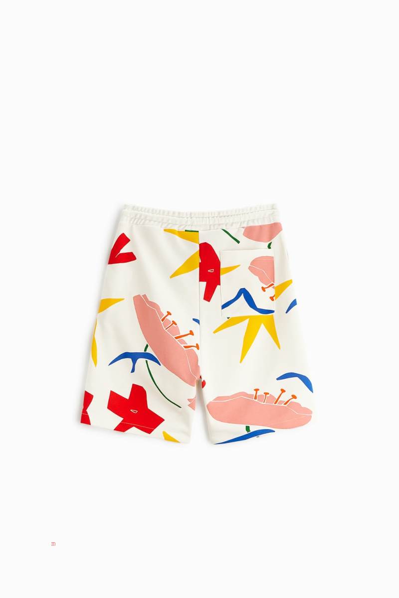 ZARA SEBASTIAN CURI GRAPHIC BERMUDA Shorts Herr Vita | ZQHWG-4035