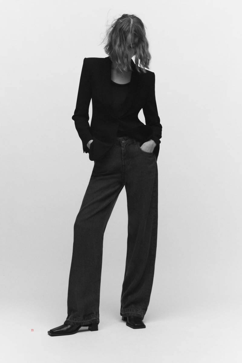ZARA SHAWL LAPEL Blazers Dam Svarta | XKILM-6310