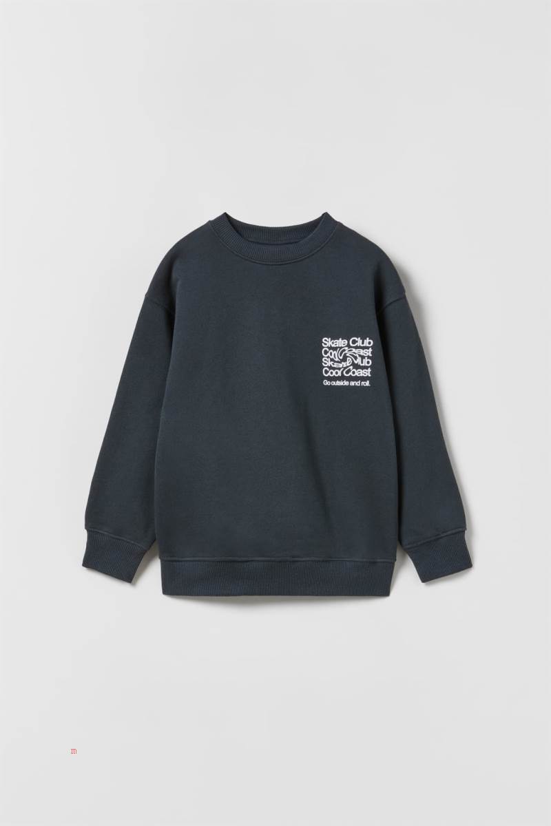 ZARA SKATE CLUB Sweatshirt Pojke Mörkgrå | MOSTU-9816