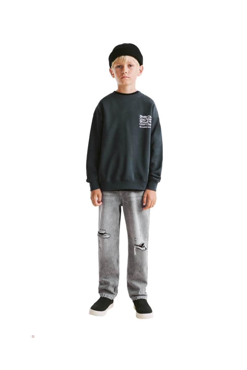 ZARA SKATE CLUB Sweatshirt Pojke Mörkgrå | MOSTU-9816