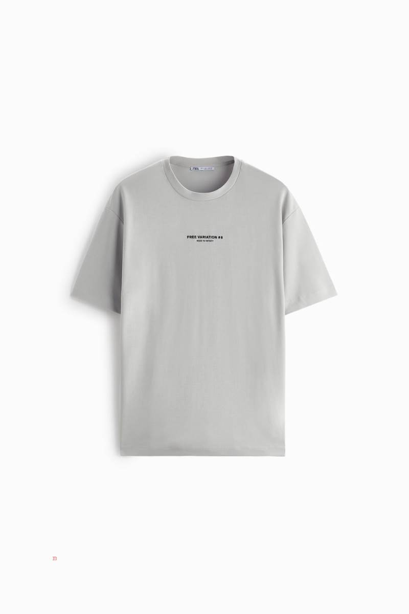 ZARA SLOGAN PRINT T-shirt Herr Grå | QACJR-9218