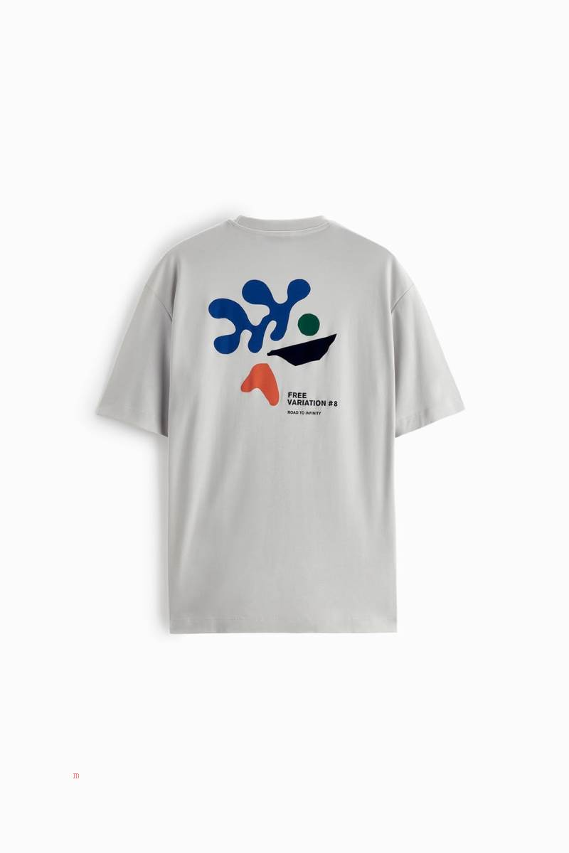 ZARA SLOGAN PRINT T-shirt Herr Grå | QACJR-9218