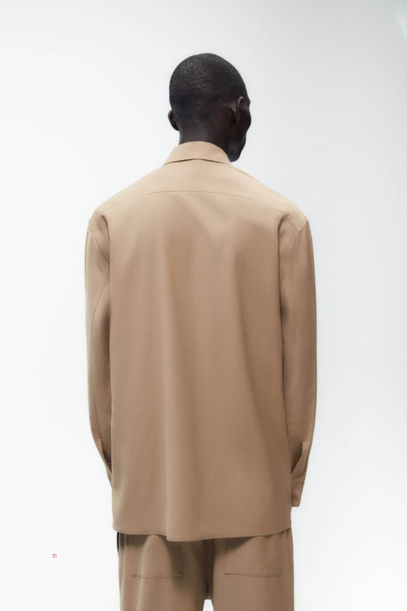 ZARA SNAP BUTTON Övertröja Herr Ljusbruna | RGCXZ-9184