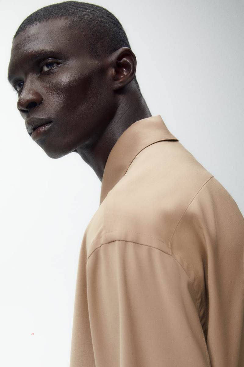 ZARA SNAP BUTTON Övertröja Herr Ljusbruna | RGCXZ-9184