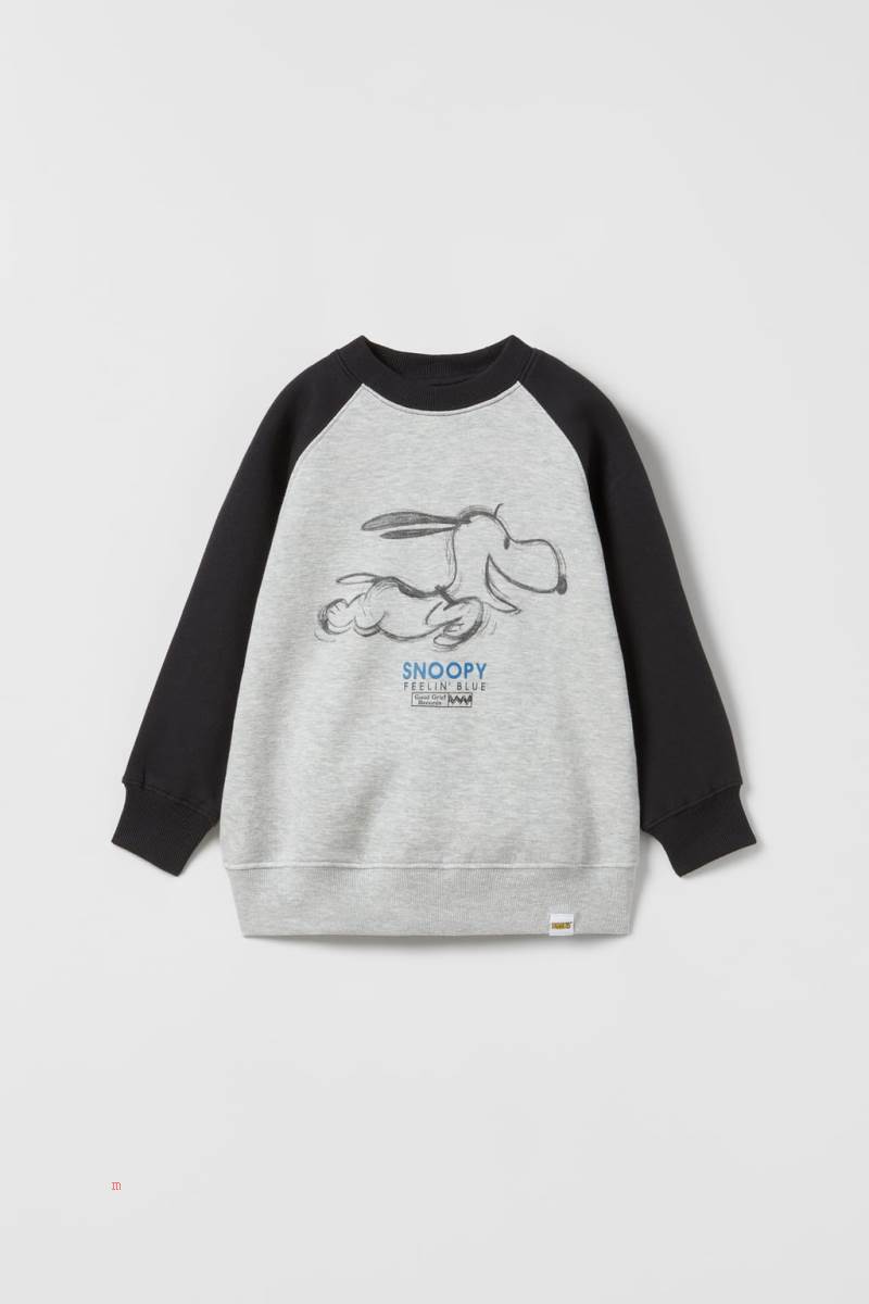 ZARA SNOOPY PEANUTS™ RAGLAN SLEEVE Sweatshirt Pojke Grå | FHBMR-1279