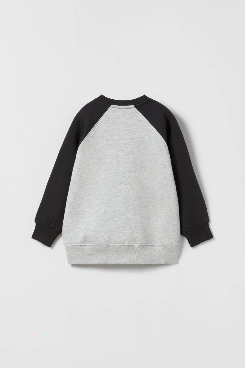 ZARA SNOOPY PEANUTS™ RAGLAN SLEEVE Sweatshirt Pojke Grå | FHBMR-1279