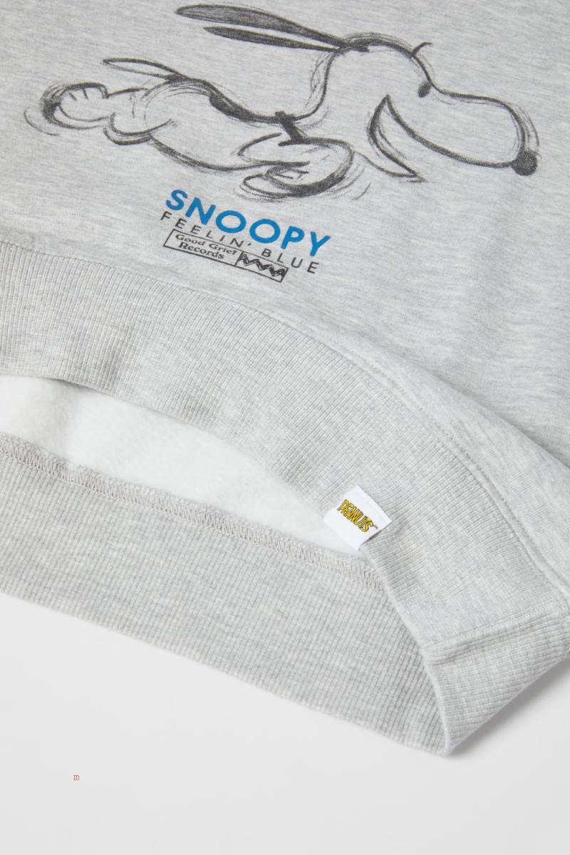 ZARA SNOOPY PEANUTS™ RAGLAN SLEEVE Sweatshirt Pojke Grå | FHBMR-1279