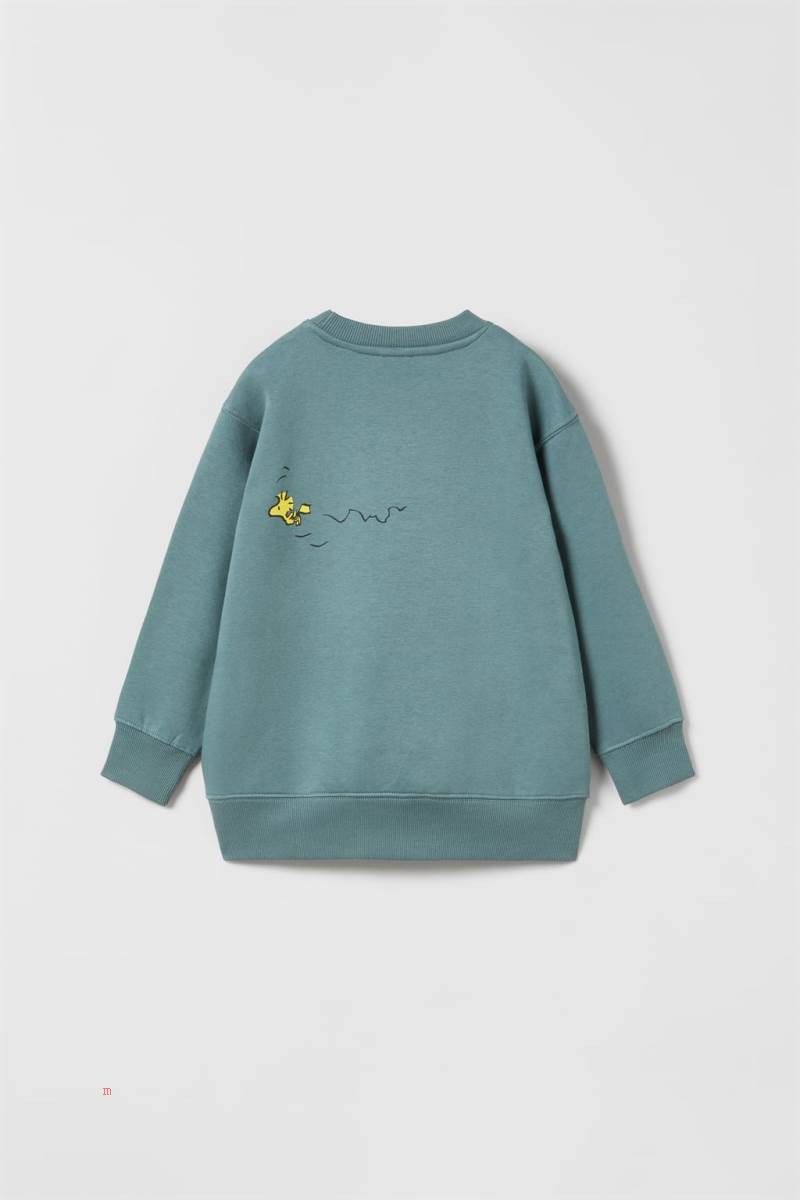 ZARA SNOOPY PEANUTS™ Sweatshirt Pojke Grå Blå | ELHTV-7051