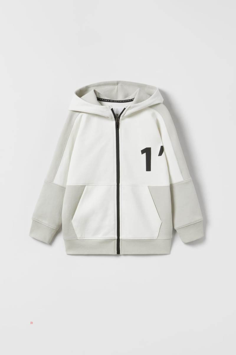 ZARA SPORTY COLOUR BLOCK Jacka Pojke Bruna | YGXJQ-3014