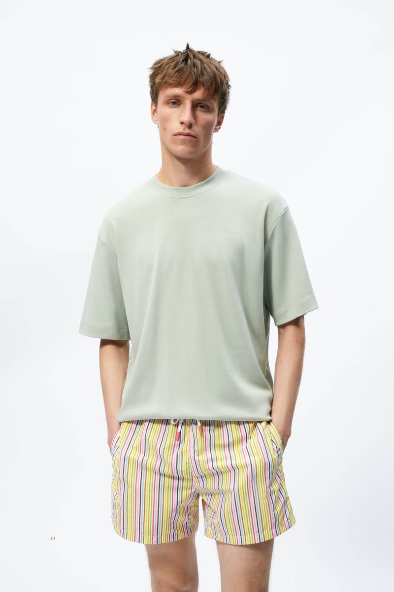 ZARA STRIPED PRINT SWIMMING TRUNKS Badkläder Herr Bruna | UXSKW-7395