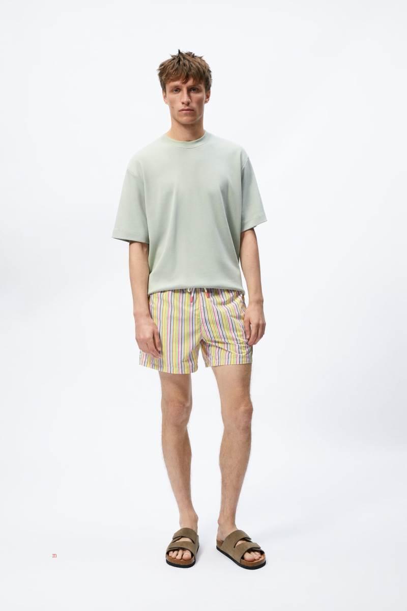 ZARA STRIPED PRINT SWIMMING TRUNKS Badkläder Herr Bruna | UXSKW-7395