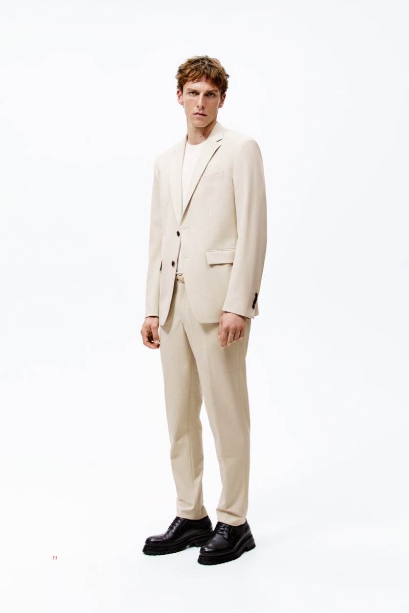 ZARA SUIT Blazers Herr Grädde | LMZID-4380
