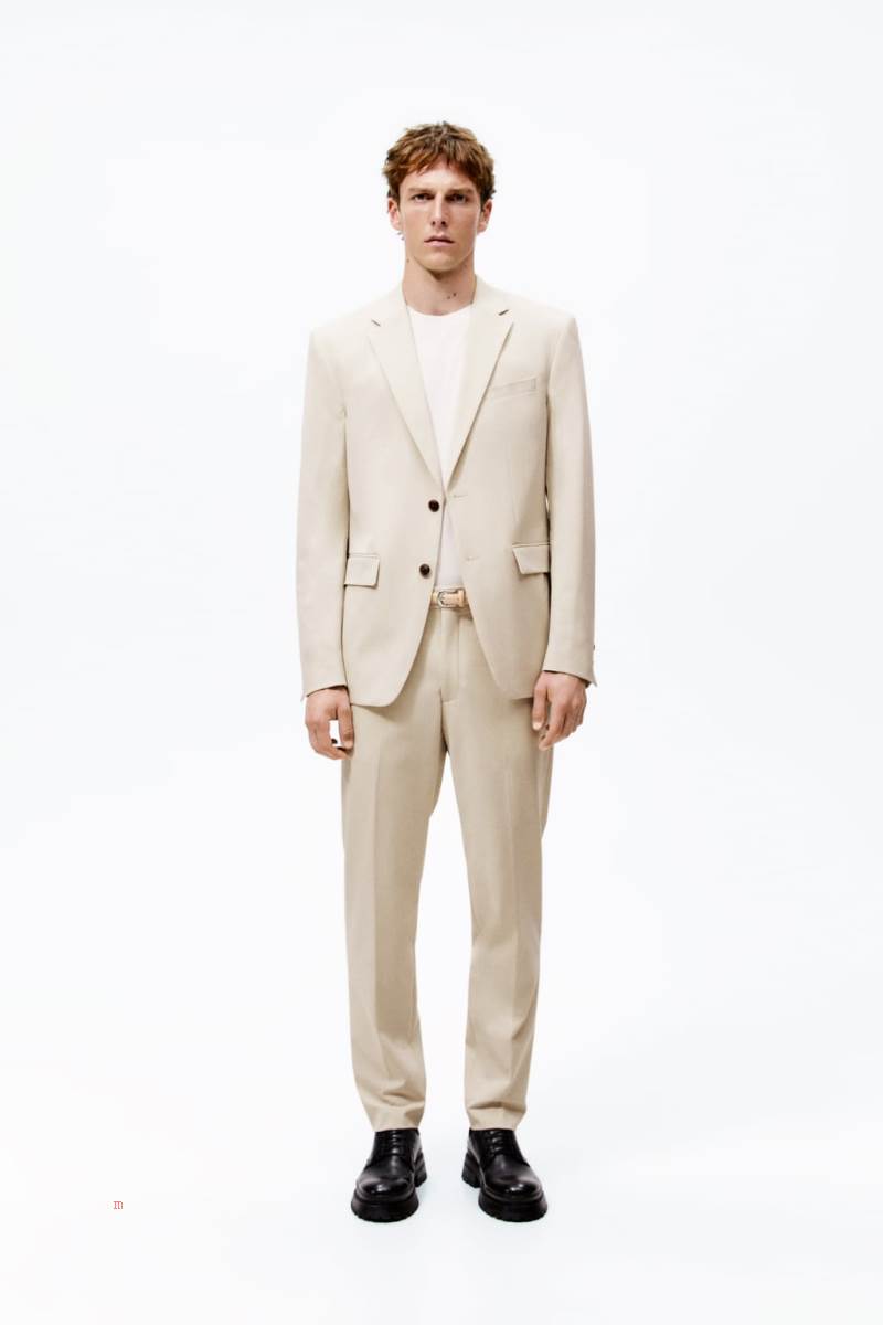 ZARA SUIT Blazers Herr Grädde | LMZID-4380