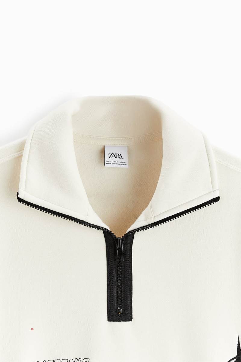 ZARA SWEATSHIRT WITH CONTRAST EMBROIDERY Sweatshirt Herr Grå Vita | HKGMF-0819