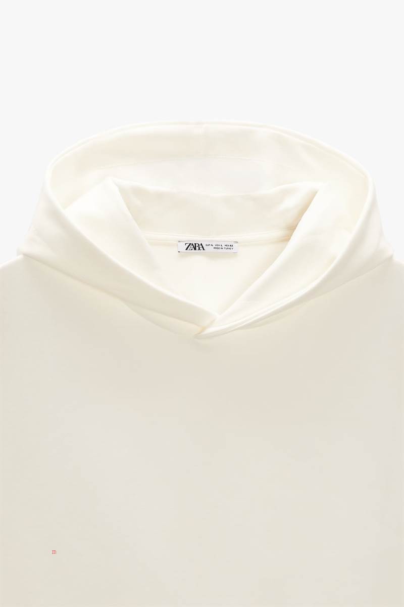 ZARA TECHNICAL Hoodie Herr Vita | JGBNW-0176