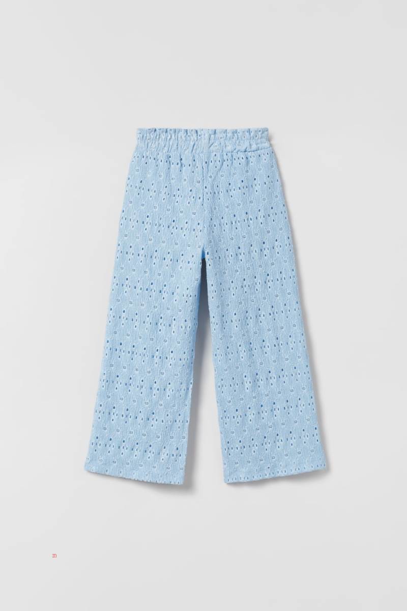 ZARA TEXTURED WITH EMBROIDERY Byxor Tjej Blå | RQLCE-8417