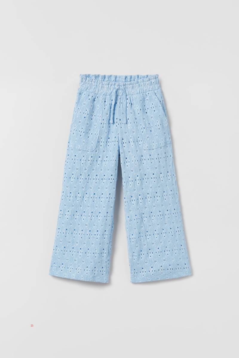 ZARA TEXTURED WITH EMBROIDERY Byxor Tjej Blå | RQLCE-8417
