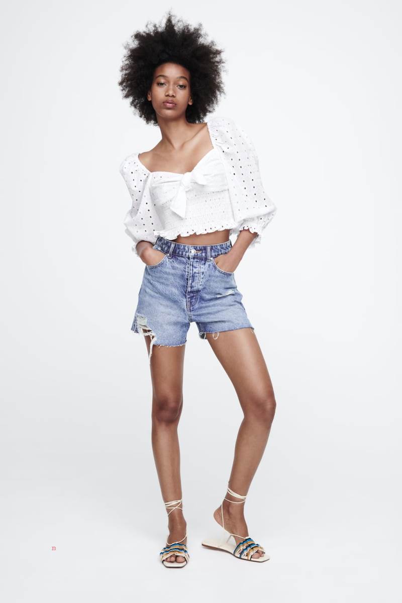 ZARA TOP WITH CUTWORK EMBROIDERY Crop Top Dam Vita | ZKTUL-8725