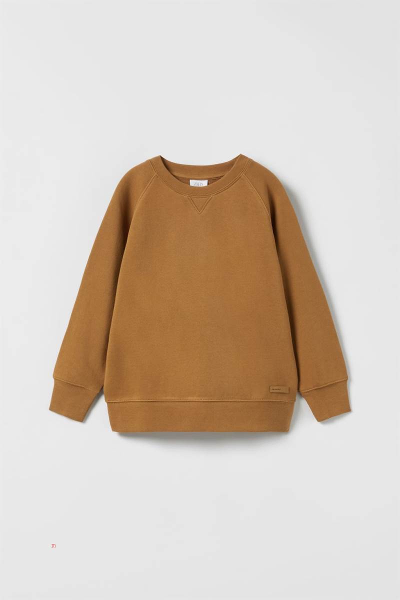 ZARA TRUE NEUTRALS Sweatshirt Pojke Mörkbruna | HNDKX-7293