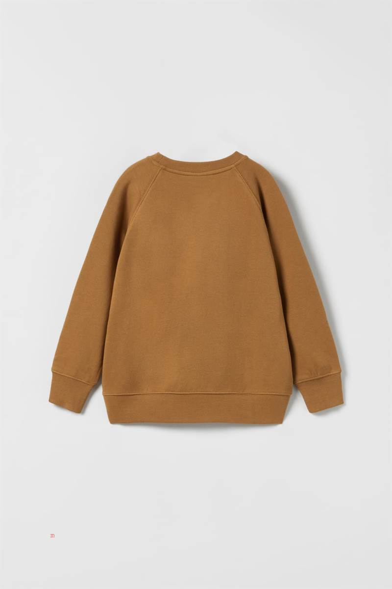 ZARA TRUE NEUTRALS Sweatshirt Pojke Mörkbruna | HNDKX-7293