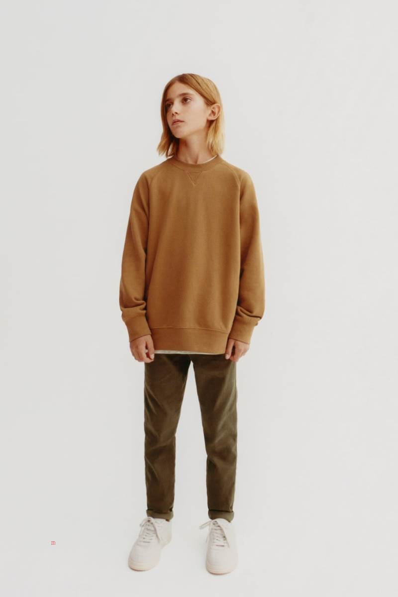 ZARA TRUE NEUTRALS Sweatshirt Pojke Mörkbruna | HNDKX-7293